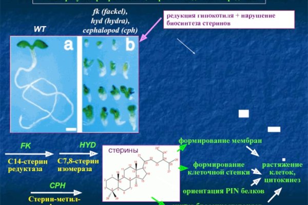 Кракен новый сайт